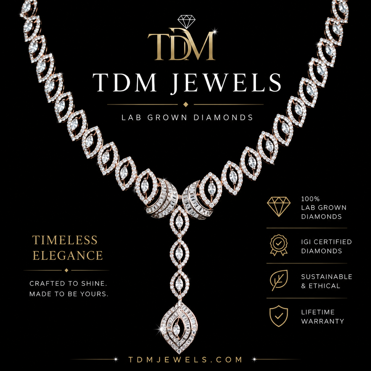 TDM003
